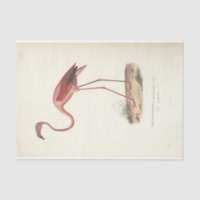 Flamingo Bird Ephemera Decoupage Tissue Paper (Front)