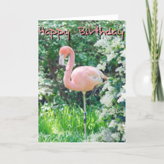 Flamingo Birthday Card