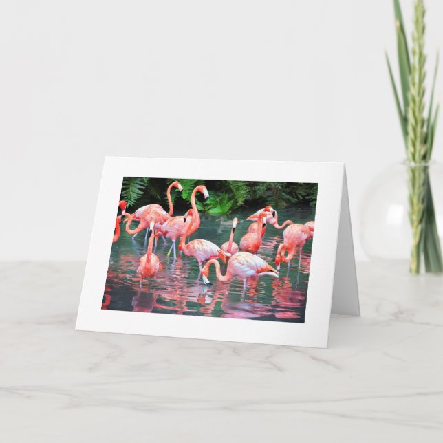 Flamingo Birthday Card (Front)