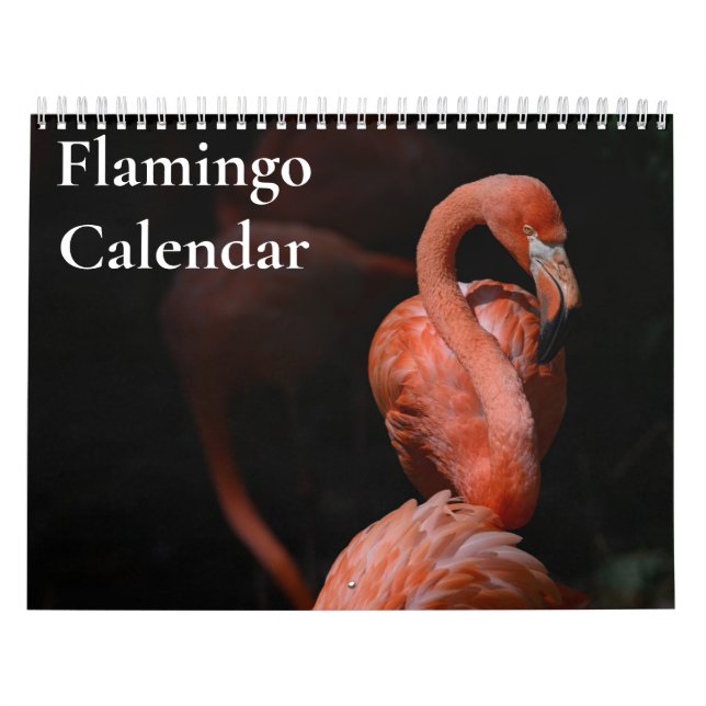 Flamingo Calendar 2024 (Cover)