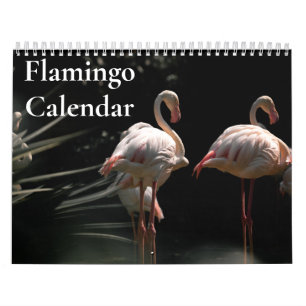 Flamingo Calendar 2027