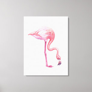 Flamingo Canvas Print