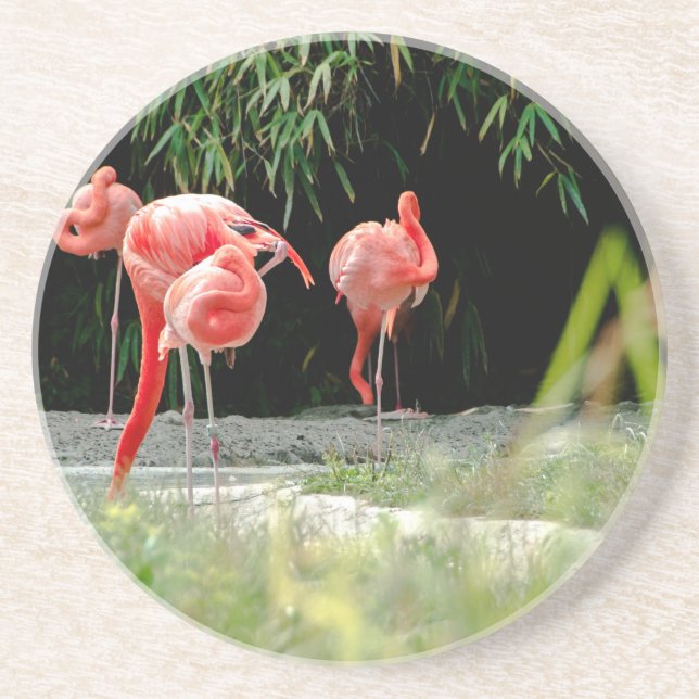 flamingo coaster (Front)