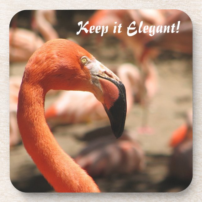 Flamingo Cork Coaster! Coaster (Front)