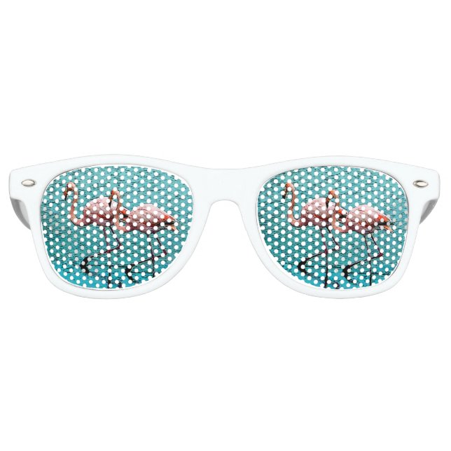 Flamingo Duo Eyes Retro Sunglasses (Front)