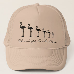 Flamingo Evolution Funky Hat / Cap