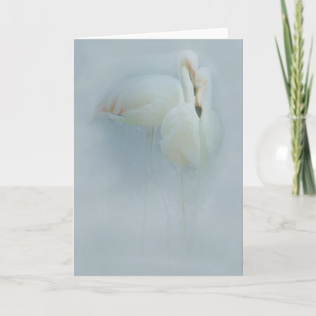 FLAMINGO FANDANGO GREETING CARD (Front)