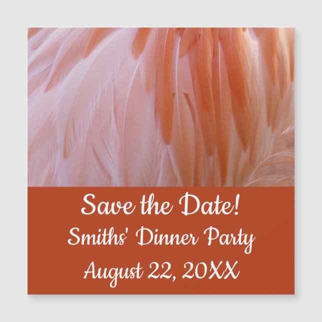 Flamingo Feathers in Shades of Pink (Front)
