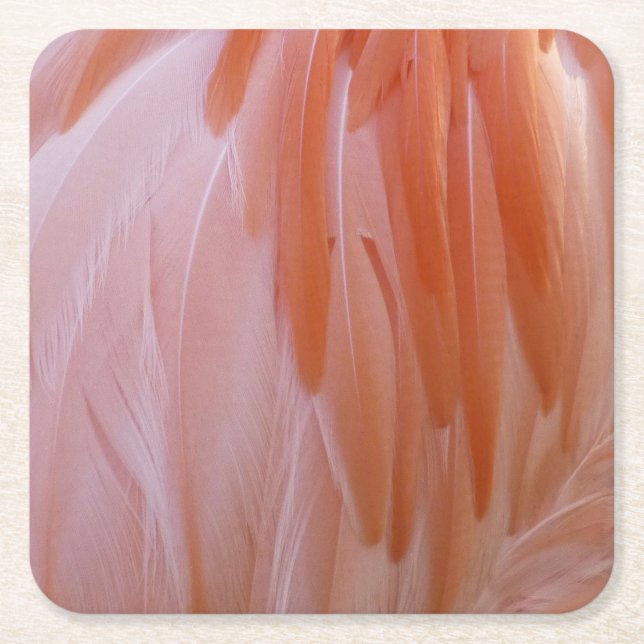 Flamingo Feathers in Shades of Pink Square Paper Coaster (Front)