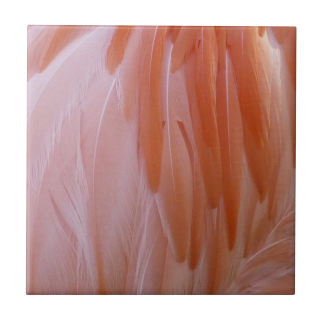 Flamingo Feathers in Shades of Pink Tile (Front)