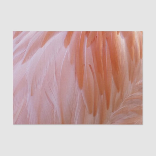 Flamingo Feathers in Shades of Pink Tissue Paper (Front)