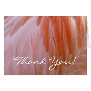Flamingo Feathers Thank You (Blank Inside)