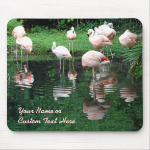 Flamingo Flamboyance Mouse Pad