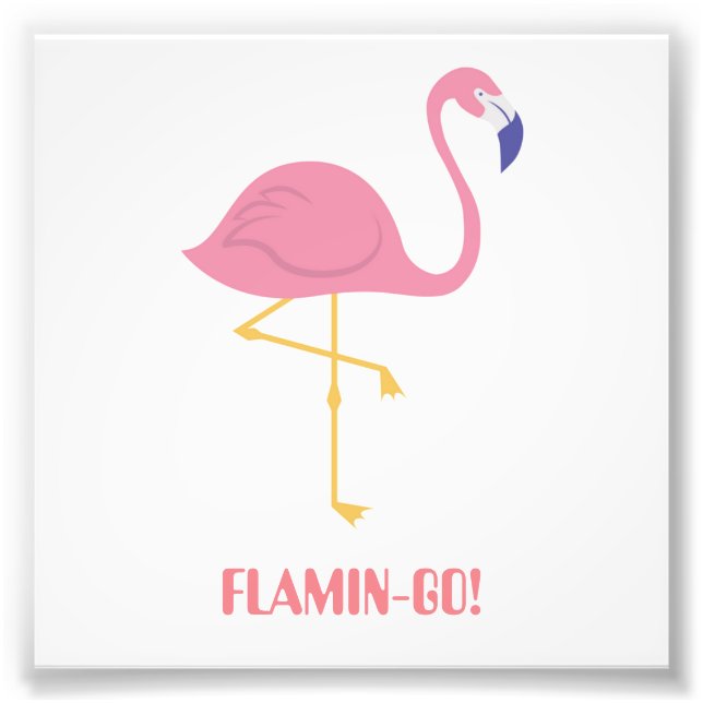 Flamingo (Flamin-Go!) Photo Print (Front)