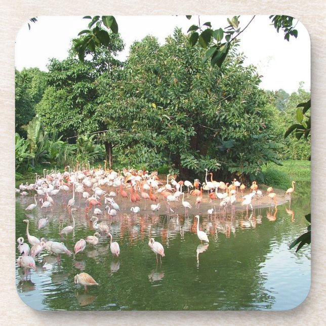 flamingo flock coaster (Front)