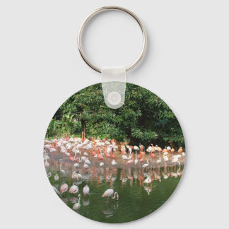 flamingo flock keychain