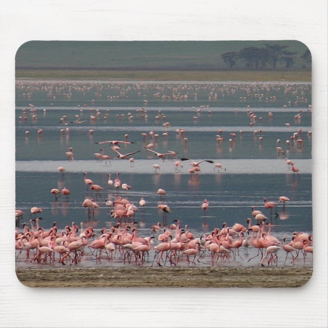 Flamingo Gathering - Mousepad (Front)
