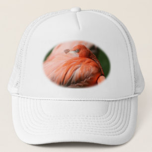 Flamingo Hat
