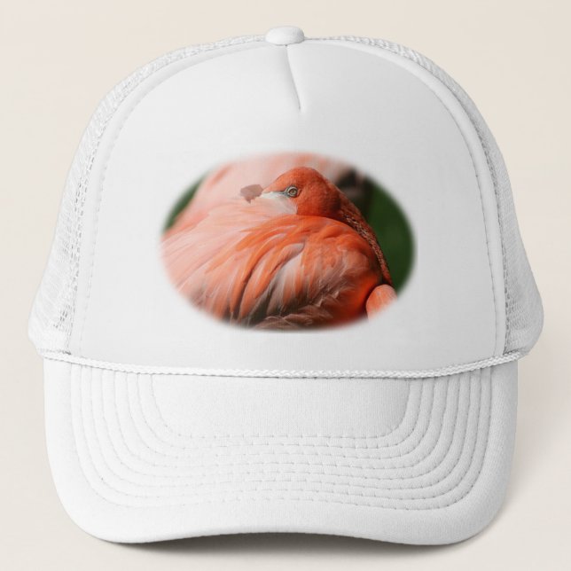Flamingo Hat (Front)