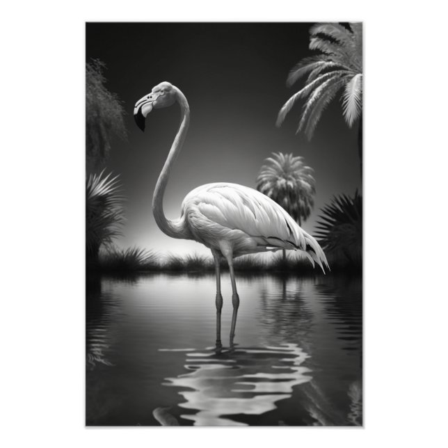 Flamingo in a Pool Photo Print (Front)