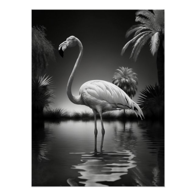Flamingo in a Pool Poster (Front)