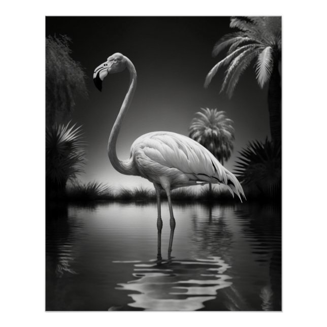 Flamingo in a Pool Poster (Front)