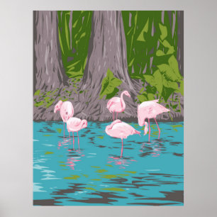 Flamingo in Everglades Poster