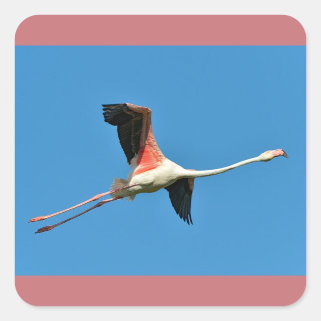 Flamingo in flight square sticker (Front)