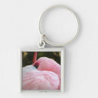 Flamingo keychain