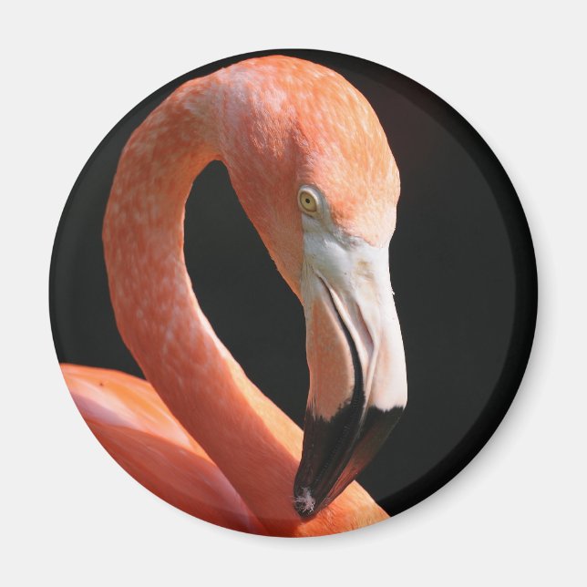 flamingo magnet (Front)