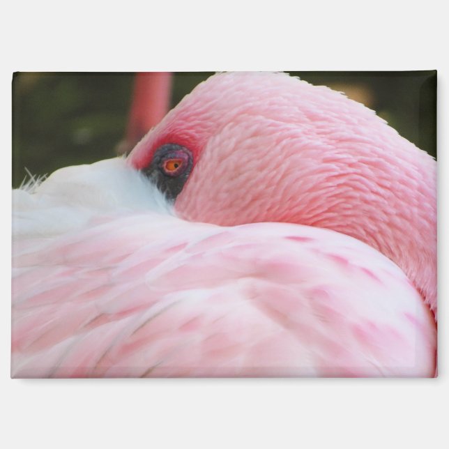 Flamingo  magnet (Front)
