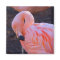 Flamingo Magnet