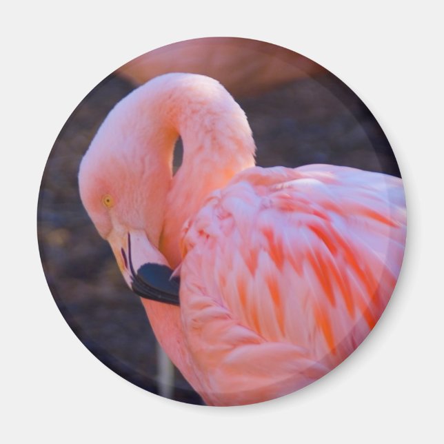 Flamingo Magnet (Front)