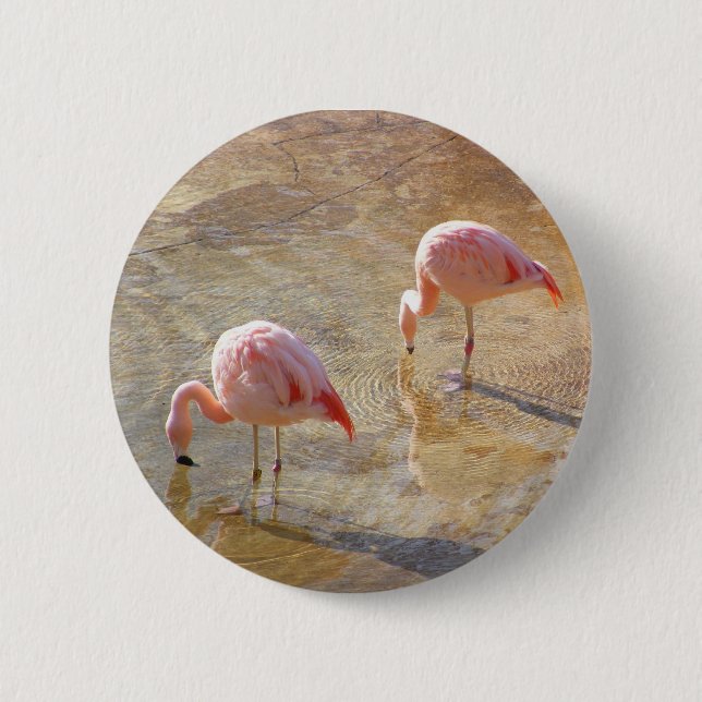 Flamingo Morning 2 Inch Round Button (Front)