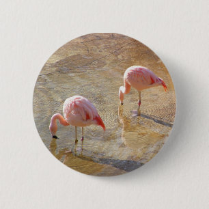 Flamingo Morning 2 Inch Round Button
