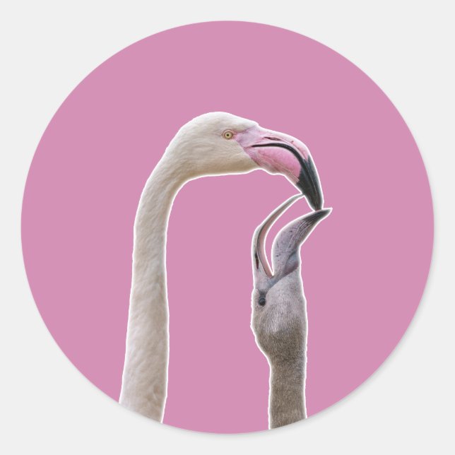 Flamingo Mother And Baby Classic Round Sticker (Front)