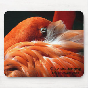 Flamingo Mouse Pad