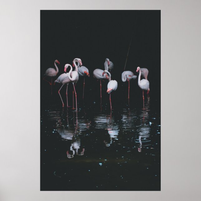 FLAMINGO ON DARK BACKGROUND POSTER (Front)