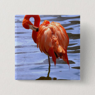 Flamingo on one leg in water 2 inch square button