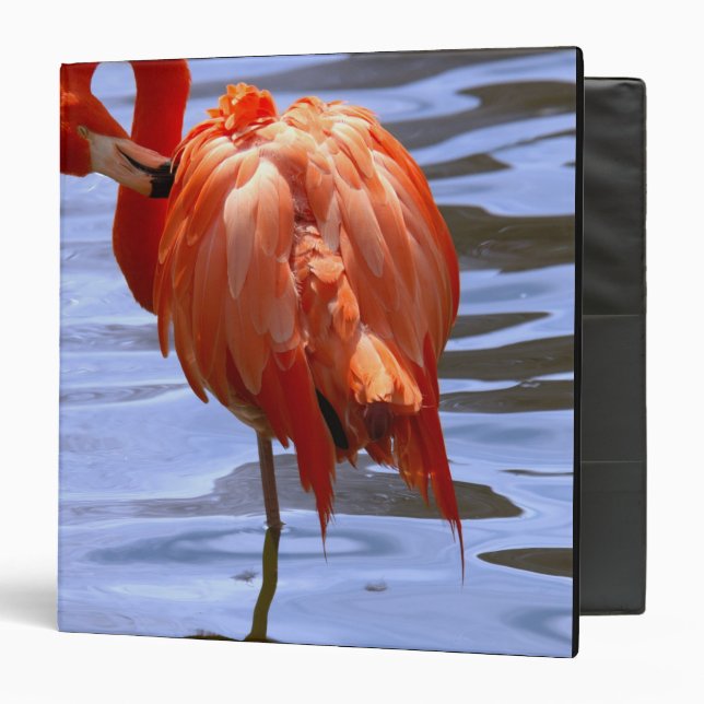 Flamingo on one leg in water binder (Front/Inside)
