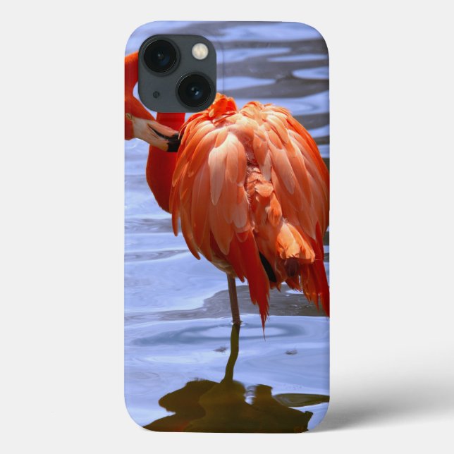 Flamingo on one leg in water Case-Mate iPhone case (Back)
