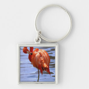 Flamingo on one leg in water keychain