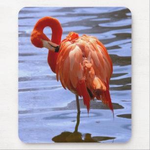 Flamingo on one leg in water mouse pad