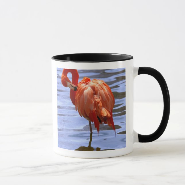 Flamingo on one leg in water mug (Right)