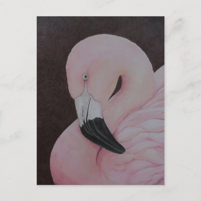 Flamingo Original Bird Art Postcard (Front)