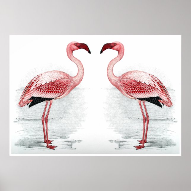 FLAMINGO PARK Flamingo Flock Fine Art Print (Front)