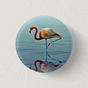 Flamingo Pink Reflection Wildlife Photo 1 Inch Round Button