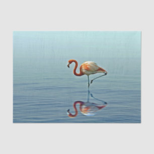 Flamingo Pink Reflection Wildlife Photo Tissue Paper