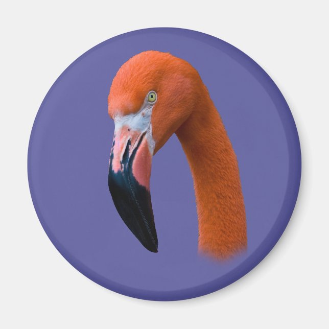 Flamingo Portrait Magnet (Front)