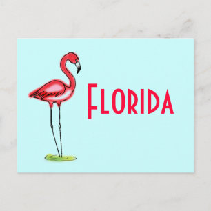 Flamingo Postcard
